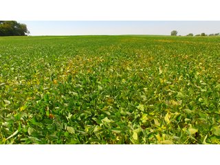 Property photo 32 - MAJOR ILLINOIS LAND AUCTION - 752.54+/- ACRES OFFERED IN 9 TRACTS IN KANKAKEE COUNTY, ILLINOIS